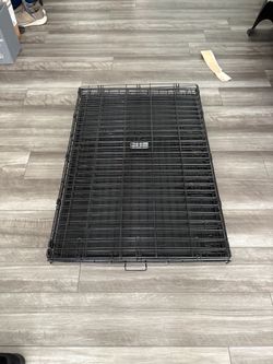 Large Folding Wire Dog Crate