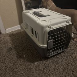 Dog Cage