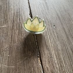 Tiana’s Bayou Project Pin