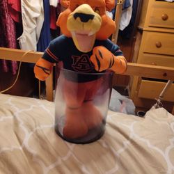 Auburn Tigers 