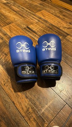 STING USA Boxing Gloves 12oz