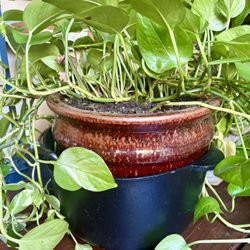 10qt (Heavy) Antique Cast Iron Pot