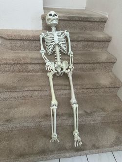 Skeleton