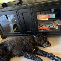 Cabinet For TV And Storage