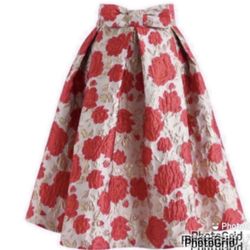 High Waisted Skirt - Size Small - New With Tag ( pickup From Northridge Area )