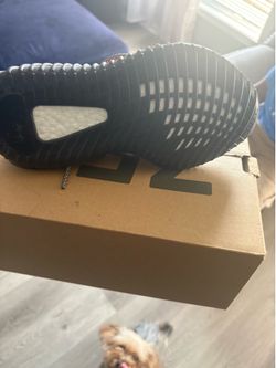 Yeezy 350  new