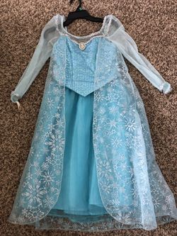 Elsa Disneyland Costume size 10/12