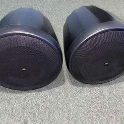 Pendant Subwoofer With Crossover 