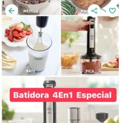 BATIDORA MANUAL VIDA SANA DE PRINCES HAUSE 