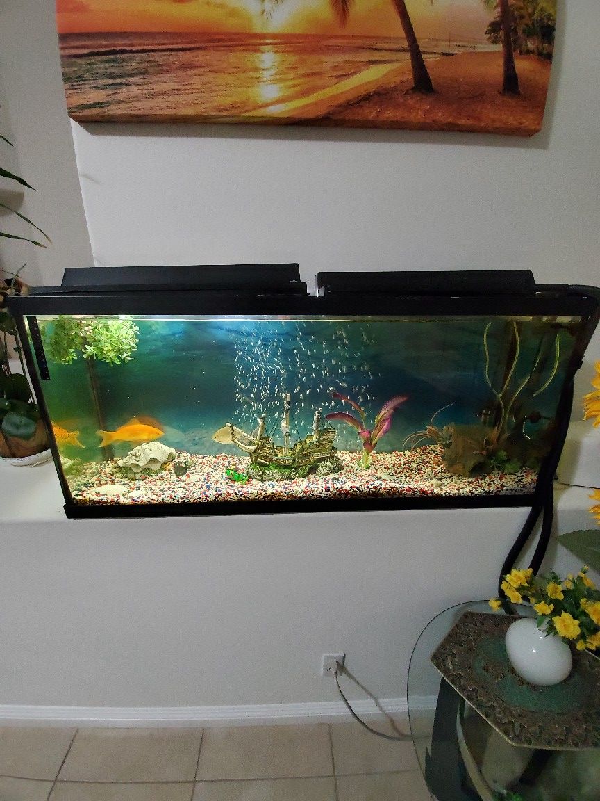Fish tank( 60 gallons)