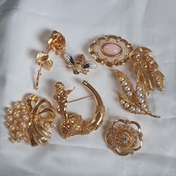 Fashion Brooches 
