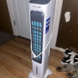 Arctic Air Fan 