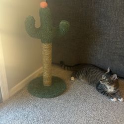 Cactus Cat Scratching Post