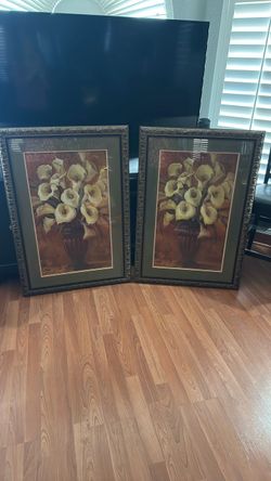Professionally Framed Art 27”x40