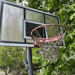 Free Basketball Hoop