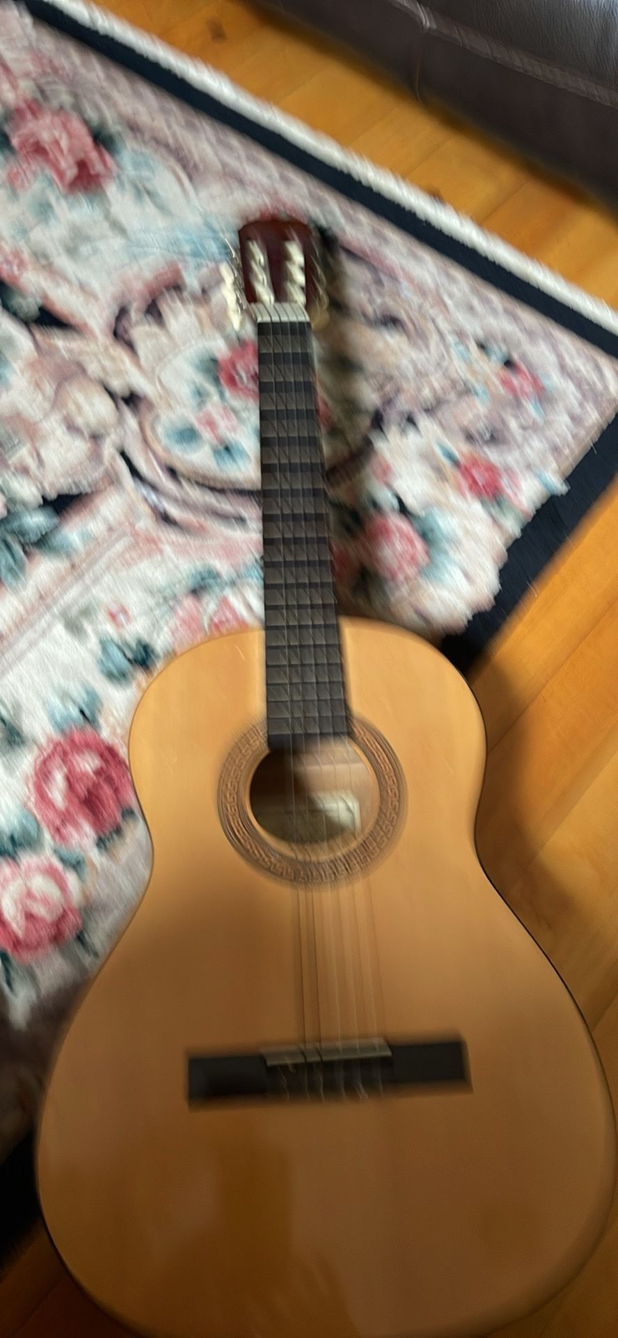 Hohner guitar