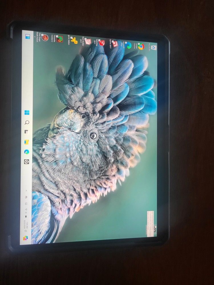 Surface Pro 8