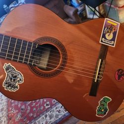 Cordoba C5 Acoustic Guitar 
