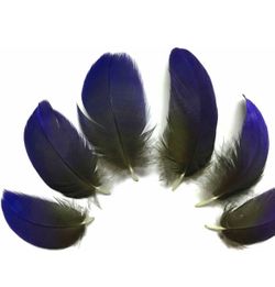 Hyacinth Macaw Blue Feathers 3-4” 21 Pieces