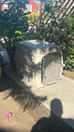 Great choice dog house