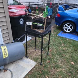 Bird Cage