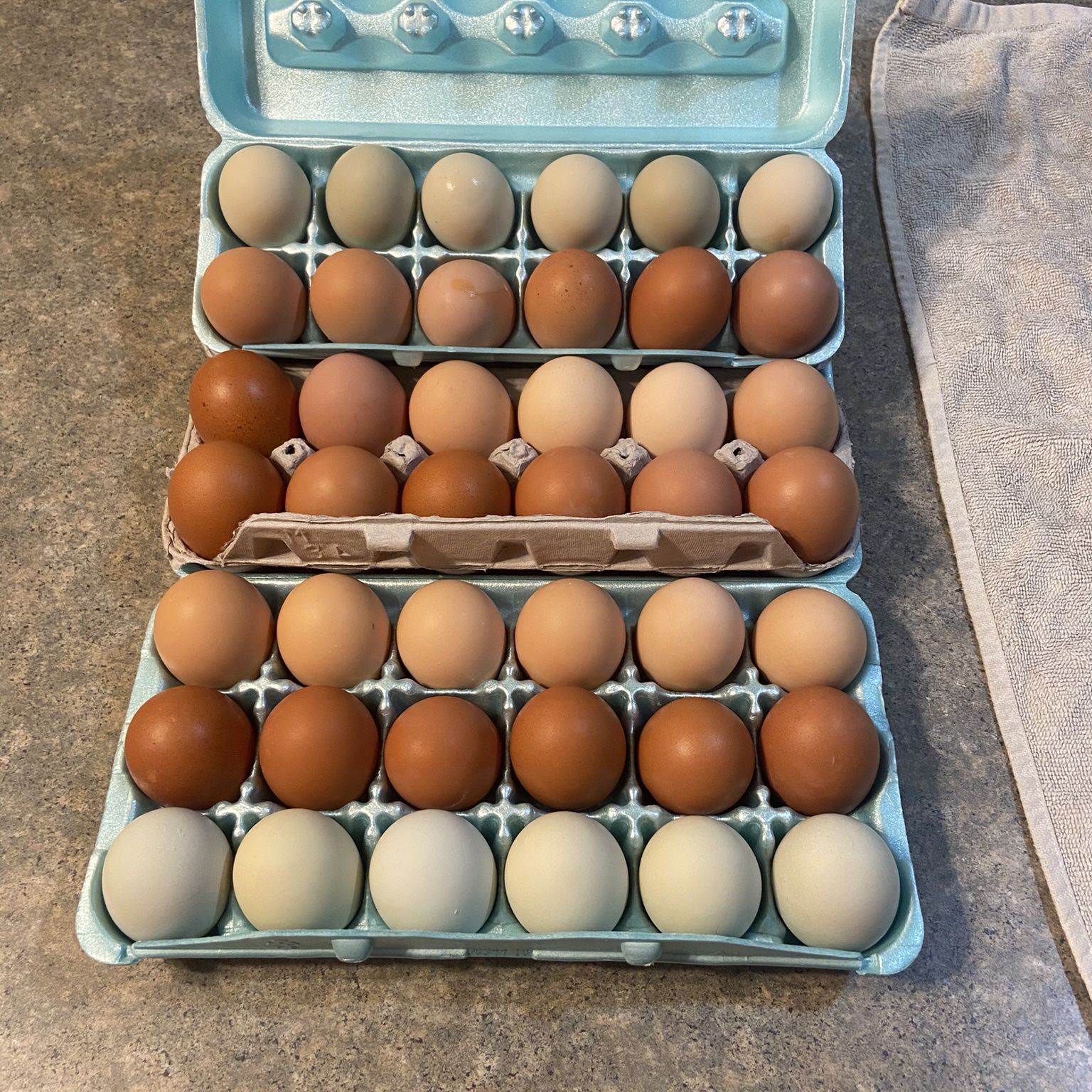 Farm Fresh Non GMO Free Range eggs. $4.00 for 18 $3:00 for 12