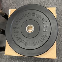 45LB Bumper Plates Clearance (Set Of 2) 