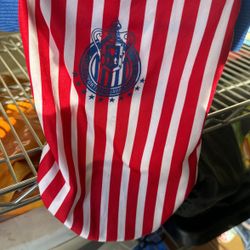 Para U Perrito Chico