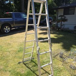 Warner 16' Multi Ladder Articulated Ladder