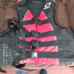Men's Life Vest