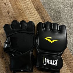 Everlast Grappling Gloves
