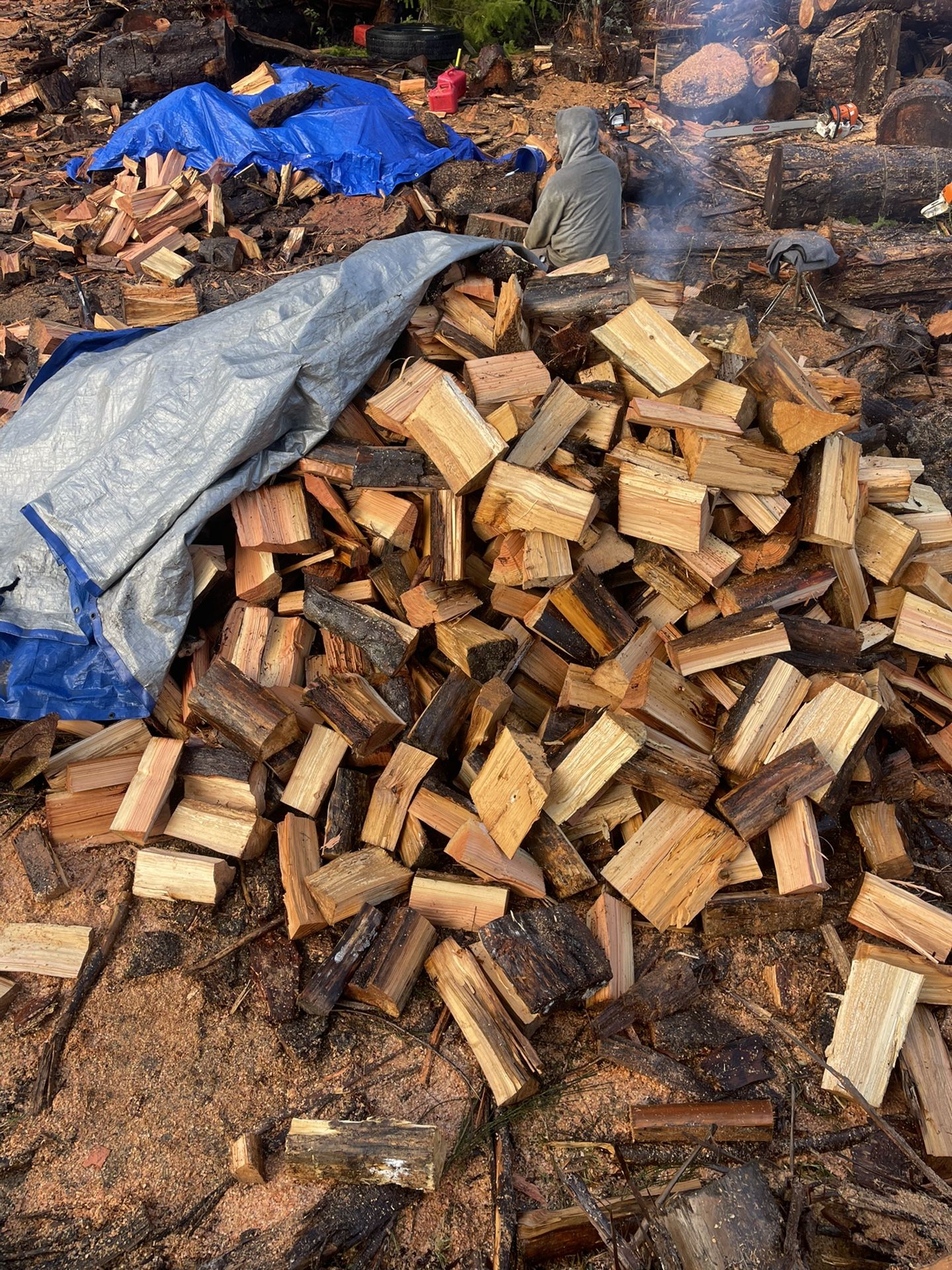 Firewood