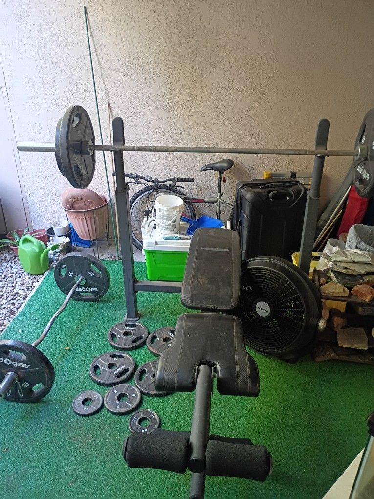 Adjustable Bench Press With Curl Bar And Weights