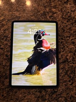 Apple iPad Pro 11" (1st Gen, 2018) - 256GB - Wi-Fi + Cellular (Unlocked) - Space Gray [or Silver]