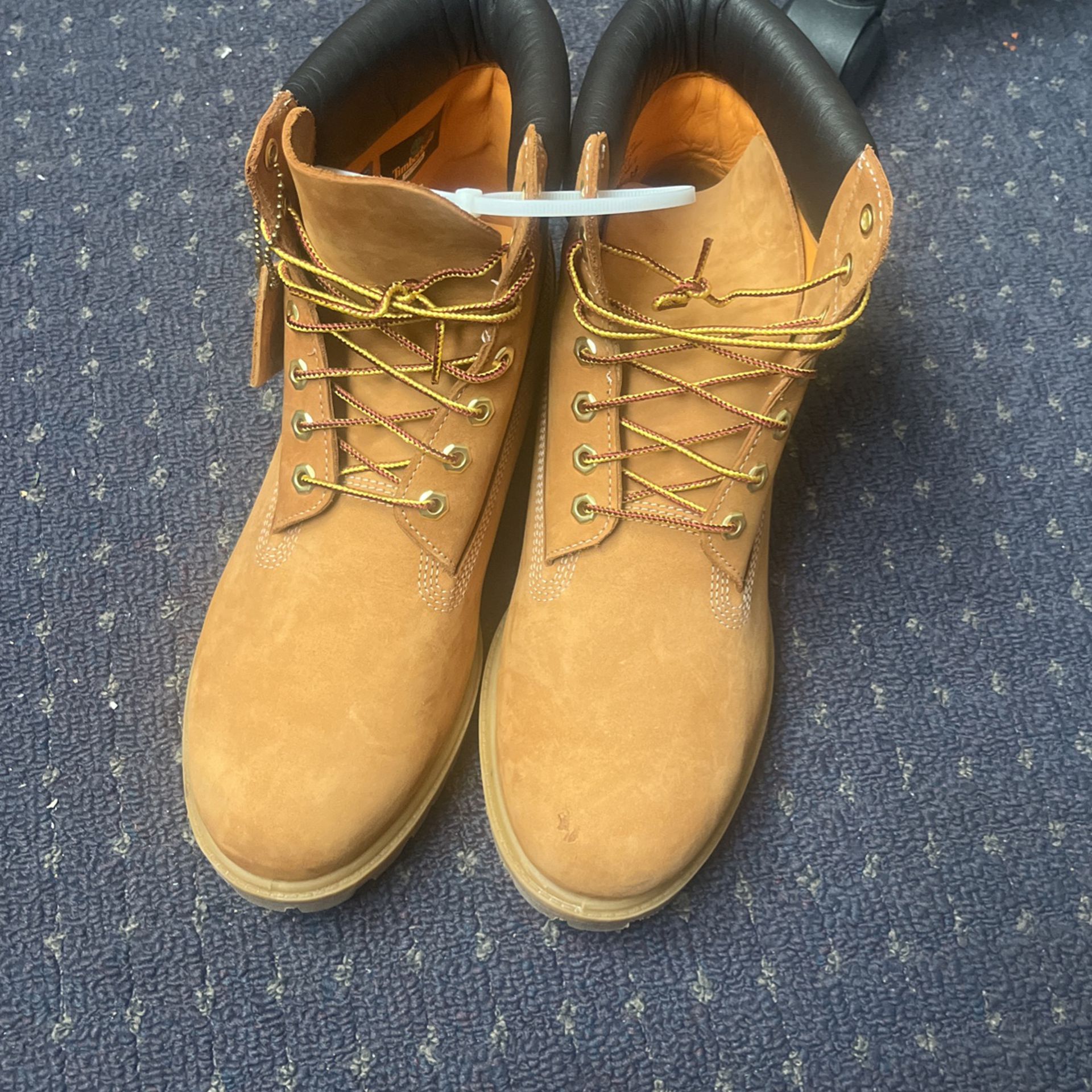Brand New Timberland Boots 