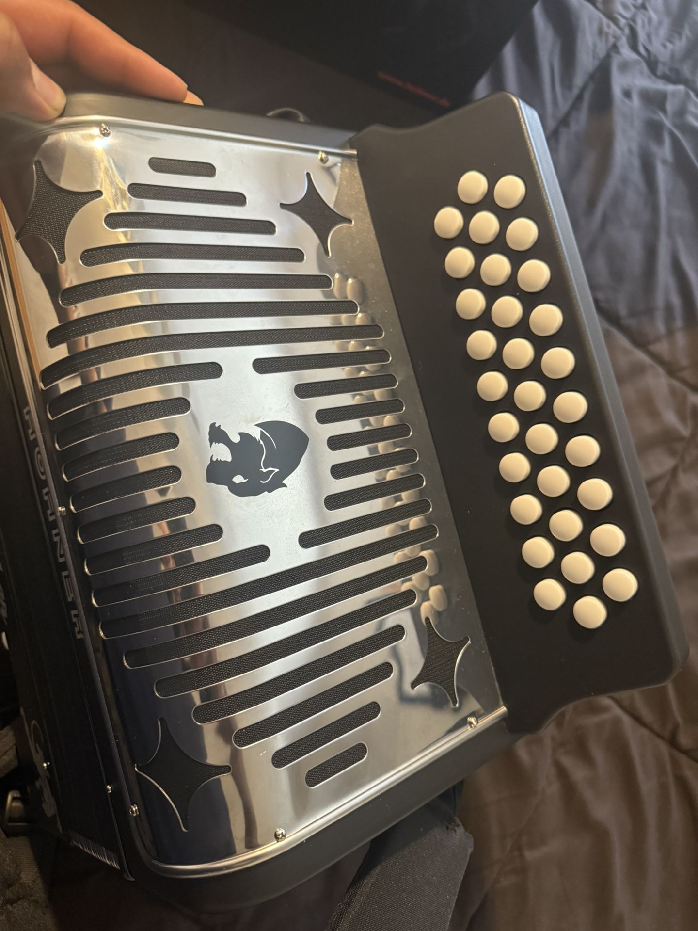 Panther Accordion