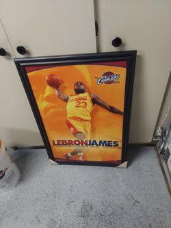 LeBron Basketball Photo