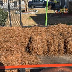 Long Leaf Pine straw