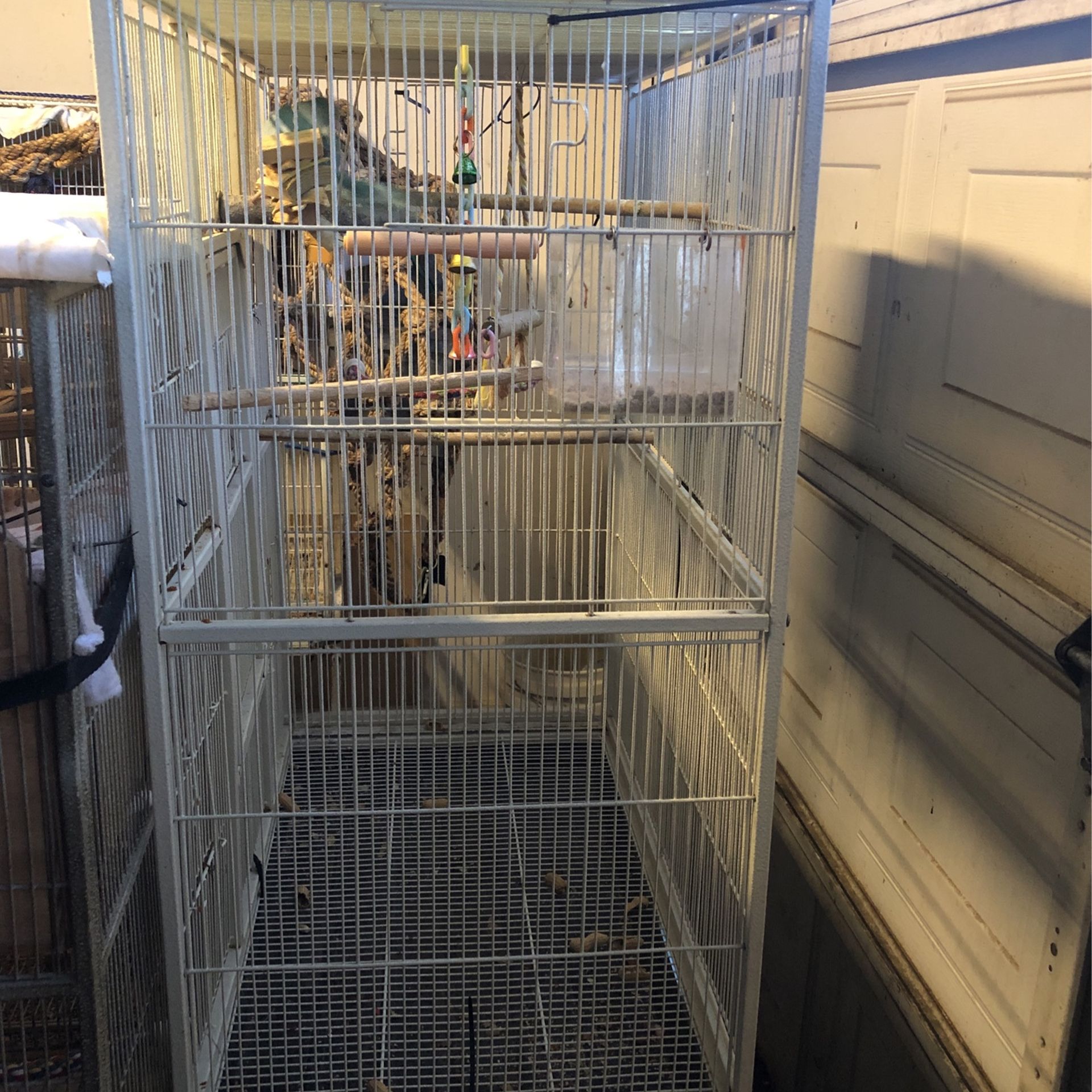 Cage with accessories