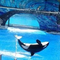 2x Sea World Tickets 
