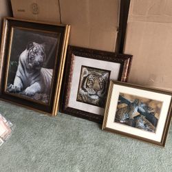  3 Animal Pictures In Frames 3/$15