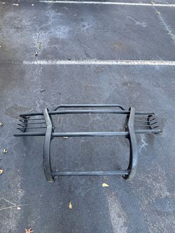 Brush Guard