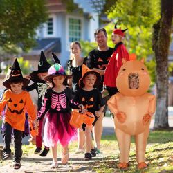 Lots Of Halloween Costumes