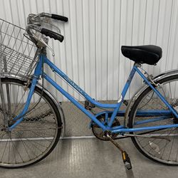 Schwinn Suburban bicycle