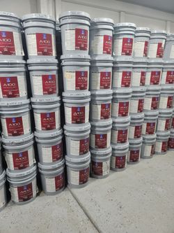 Paint and primer
