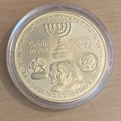 RARE TRUMP TEMPLE COIN FOR SALE