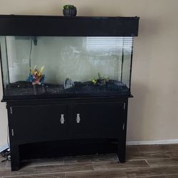 Fish Tank And Cabnet 