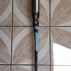 Baseball Bat And Baseball Glove