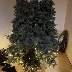 CHRISTMAS TREE, 9'; cross streets are Arapaho & Waterview