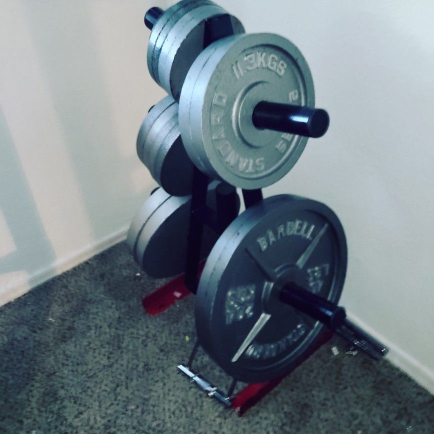 265 Pounds Olympic Iron Weights